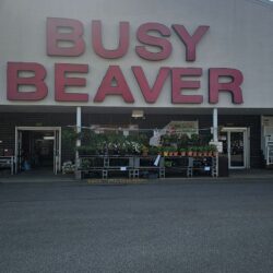 63 Busy Beaver of Moundsville 20240725 201924 20240725 171615