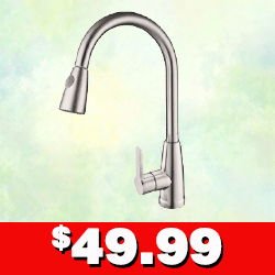 TV31 Pull Down Faucet